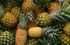 热带水果菠萝食品水果美味热带