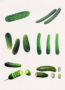 新鲜的绿色蔬菜黄瓜素材