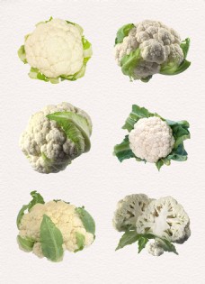 绿色蔬菜绿色新鲜白花菜素材