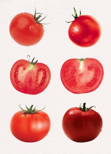 西红柿卡通透明素材