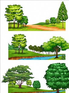 大自然树木