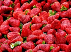 草莓高清照片