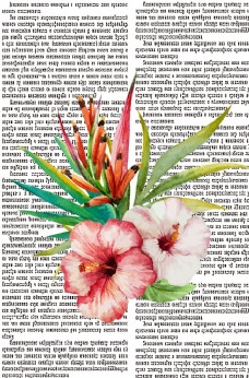 棕榈树和花卉