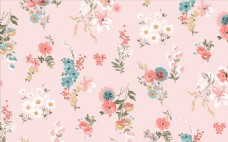 墙纸花卉