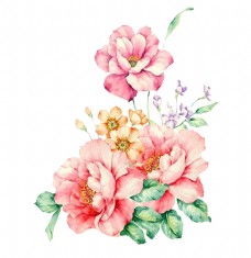 暖春粉色手绘花牡丹花千库图粉色花堆元素