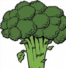 绿色蔬菜卡通西兰花