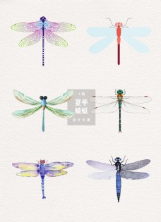 夏季蜻蜓装饰素材设计
