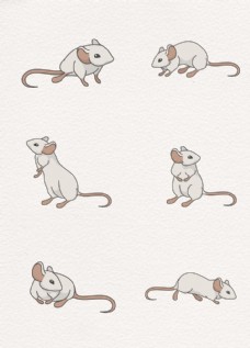 小清新简约手绘老鼠