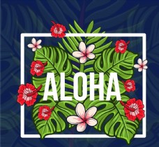 彩色夏威夷热带花卉树叶矢量素材