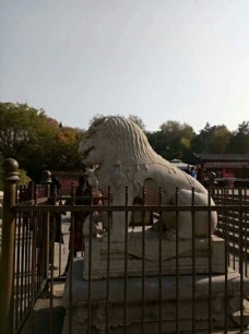 颐和园石头狮子