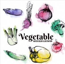 绿色蔬菜手绘蔬菜