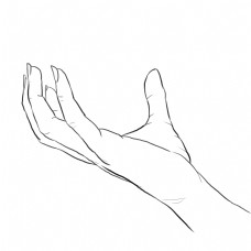 手势特写手部特写纯手绘速写线条手势局部动作