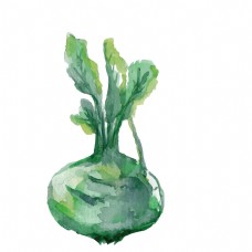 绿色蔬菜水彩水萝卜矢量免抠图
