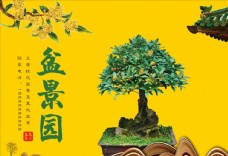 花海桂花盆景盆栽海报