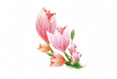手绘卡通粉色花朵装饰素材