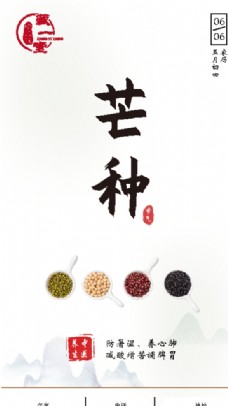 二十四节气芒种中医海报