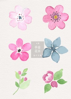 挂画水彩手绘花卉插画素材