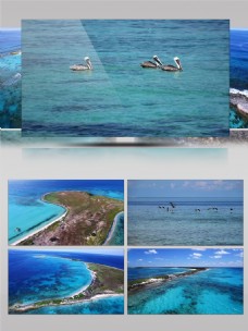 海洋景观珊瑚礁岛屿航拍