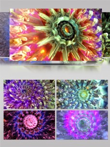 3D玻璃质感花朵开放水晶动画