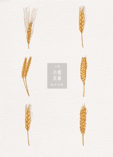 二十四节气小麦设计ai元素