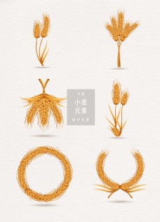 传统节气小麦矢量设计元素