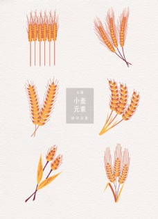 传统节气小麦矢量ai素材
