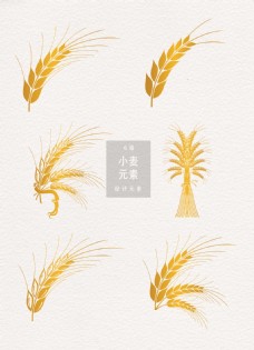 传统节气小麦设计元素