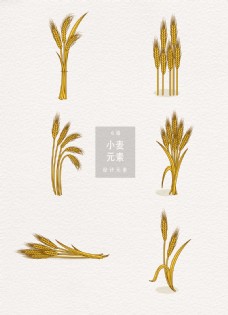 二十四节气矢量手绘小麦设计元素