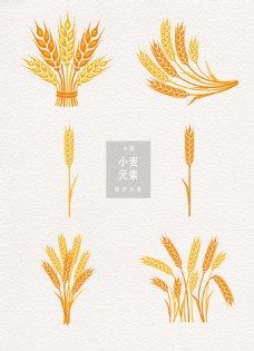 传统节气矢量手绘麦子素材