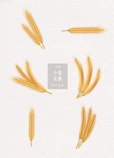传统节气小麦麦子设计元素