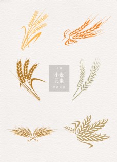 传统节气矢量手绘小麦插画