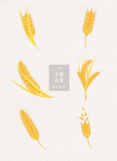 传统节气黄金小麦设计元素