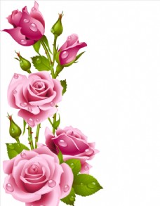 树木粉色玫瑰