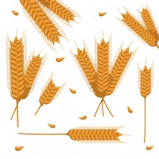 小麦金色麦穗丰收插画元素