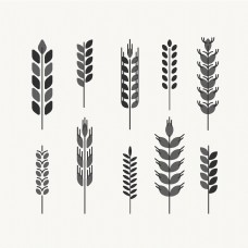 10款黑色小麦合集插画设计