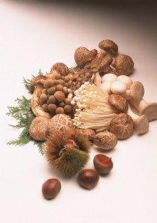 蔬菜类蘑菇菌类食用菌新鲜的蔬菜