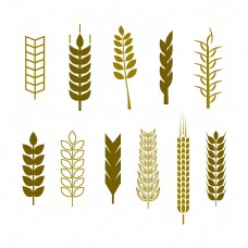 小麦11种卡通麦穗合集插画矢量图