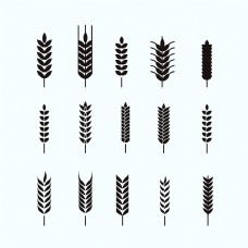 15款黑色小麦合集插画设计