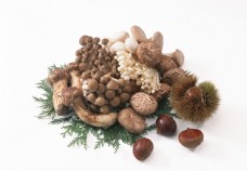 蔬菜类蘑菇菌类食用菌新鲜的蔬菜