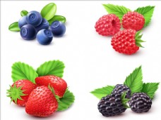 餐饮蓝莓草莓野果
