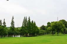 闵行公园草坪
