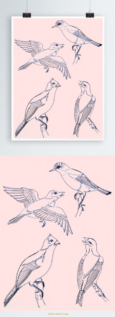 手姿态各姿态小鸟手绘线描元素