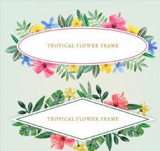 2款彩绘热带花卉框架