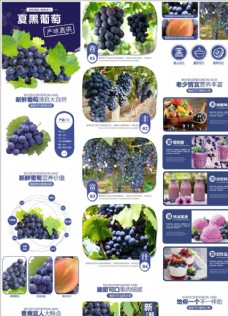 新鲜水果简约风格蓝色夏黑新鲜葡萄水果