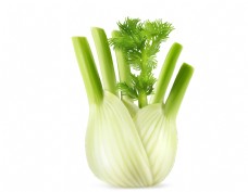 绿色蔬菜精美绿色手绘蔬菜西芹元素