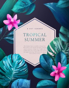 夏季热带植物花卉海报设计