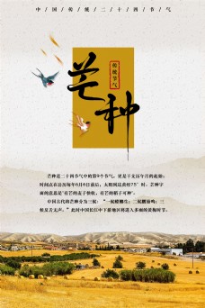芒种中国传统节气海报