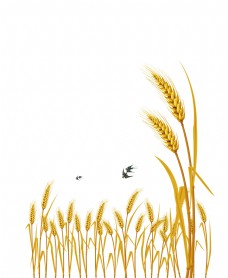 手绘卡通精致麦子装饰素材