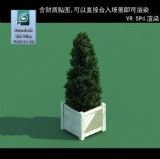 树木3D灌木模型3D植物模型
