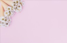 春天海报粉色鲜花背景